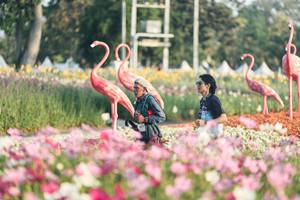 BIB: 
                            <button type="button" onclick="openModal(27344117)" class="btn btn-primary btn-sm float-right btn-popup" data-toggle="modal" data-target=".modal-high-quality">
                        <i class="fas fa-shopping-cart"></i> Add to Cart
                    </button>
                                            <button type="button" onclick="isThisMe(27344117, true)" class="btn btn-success btn-sm float-right btn-popup btn-isme hidden" data-toggle="tooltip" data-placement="bottom" title="นี่คือรูปของคุณใช่ไหม คลิกที่นี่เพื่อเอาเข้าอัลบั้ม">
                        <i class="fas fa-plus"></i> Add to album
                    </button>
                    <button type="button" onclick="isThisMe(27344117, false)" class="btn btn-warning btn-sm float-right btn-popup btn-isnotme hidden">
                        <i class="fas fa-ban"></i> Remove from album
                    </button>